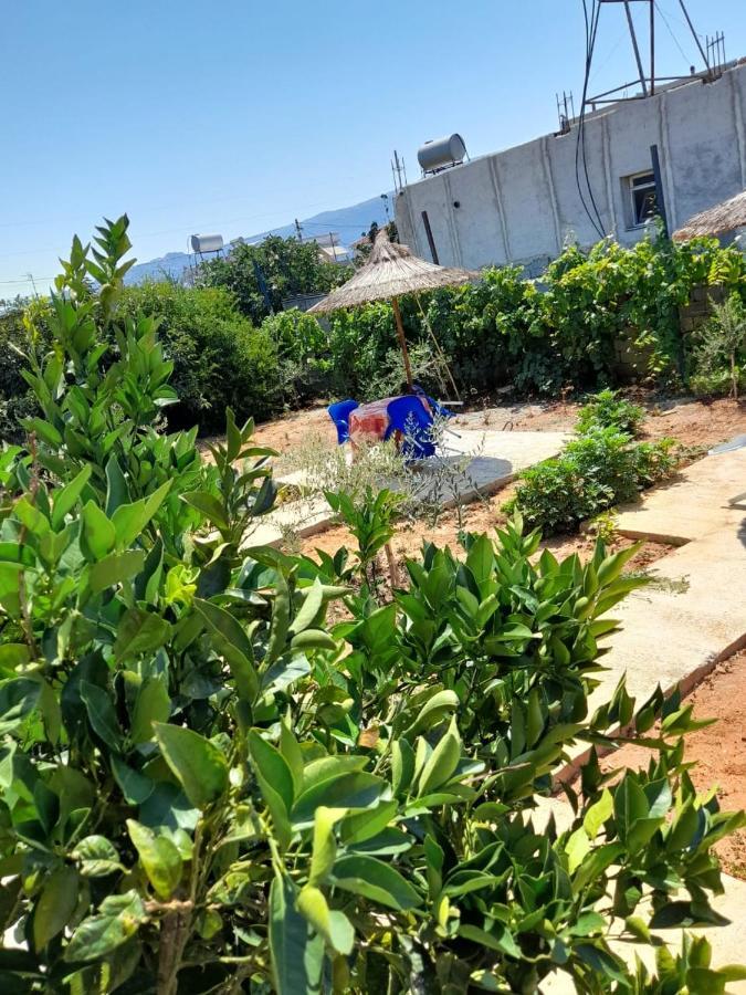 Rey Garden Villa Vlorë 外观 照片