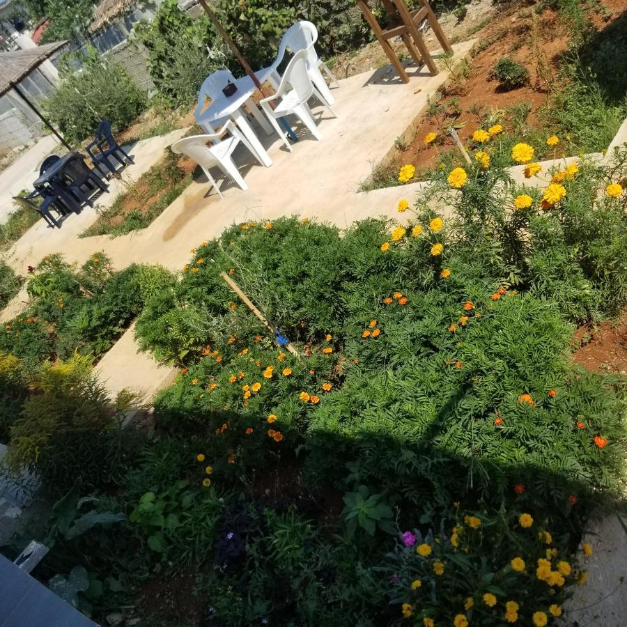 Rey Garden Villa Vlorë 外观 照片